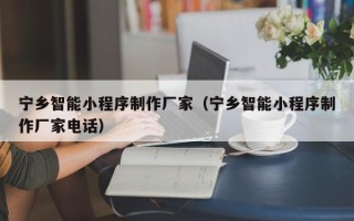 靖边宁乡智能小程序制作厂家（宁乡智能小程序制作厂家电话）