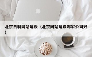 靖边北京自制网站建设（北京网站建设哪家公司好）