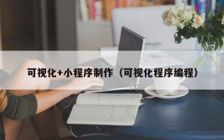 靖边可视化+小程序制作（可视化程序编程）